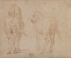 Horses, Parmigianino (Girolamo Francesco Maria Mazzola) (Italian, Parma 1503–1540 Casalmaggiore), Pen and brown ink; framing lines in pen and brown ink on mount
