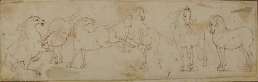 Six Horses, attributed to Francesco Allegrini (Italian, Cantiano (?) 1615/20–after 1679 Gubbio (?)), Pen and brown ink.  Framing lines in pen and brown ink on mount