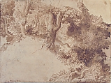 Woodland Scene with Light Sketch of a Madonna and Child, attributed to Girolamo Muziano (Italian, Acquafredda, Brescia 1528–1592 Rome), Pen and brown ink, brush and brown wash, over black chalk, on buff paper