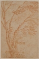 A tree and figure, Anonymous, French, 18th century, Red chalk