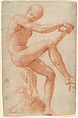 Seated Male Nude, Francesco Salviati (Francesco de' Rossi)  Italian, Red chalk