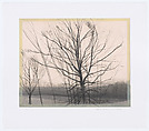 The Pin Oak at the Pond, Sylvia Plimack Mangold  American, Color drypoint, aquatint and spitbite on T.E.<br/>Edmond's Handmade hot-pressed paper
