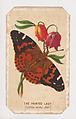 The Painted Lady butterfly card from the Butterflies and Moths of America series, Louis Prang & Co.  American, Lithograph