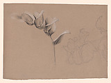 Floral Design, Antoine Berjon French, Black and white chalk