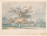 A landscape with an old oak (or beech) tree, Joseph Mallord William Turner  British, Watercolor over graphite