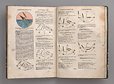 Astronomicum Caesareum, Michael Ostendorfer (German, (?) ca. 1490–1549 Regensburg), Hand-colored woodcuts