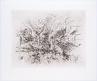 Algorithms / Apparitions / Translations, Julie Mehretu (American, born Addis Ababa, Ethiopia, 1970), Etching with aquatint, spitbite, softground, hardground, drypoint, engraving, and pochoir