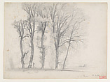 A Stand of Trees, Louis Cabat  French, Graphite
