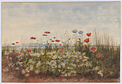 Bank of wildflowers, Andrew Nicholl  Irish, Watercolor and gouache (bodycolor) with reductive techniques