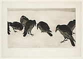 Ravens in the Snow, Henri Charles Guérard  French, Drypoint, etching and roulette; only state