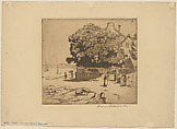 Fig Tree, Île-aux-Moines, Anne Goldthwaite American, Etching