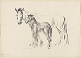 Mare and Foal, Anne Goldthwaite  American, Lithograph