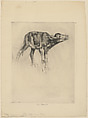 Calf, Anne Goldthwaite  American, Etching