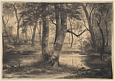 A Pond in the Forest of Fontainebleau, Auguste Allongé  French, Charcoal