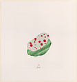 Up, to 7, Richard Tuttle (American, born Rahway, New Jersey, 1941), Aquatint