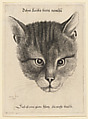 Head of a Cat (Middle Size), Wenceslaus Hollar  Bohemian, Etching, only state