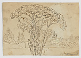 Pinco Rome (Roman Pines) (recto), Foliage sketches (verso), Richard Cooper II (British, Edinburgh, Scotland 1740–1822 Eltham, Kent), Graphite, pen and iron gall ink and wash (recto and verso)