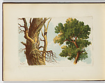 A Course of Water-Colour Painting with Twenty-Four Coloured Plates from Designs by R. P. Leitch, Richard Principal Leitch British, Illustrations: color lithographs