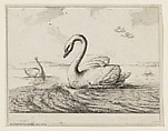 Swans on Open Water, Marguerite Le Comte French, Etching