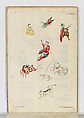 Accurate Representation . . .Des Herrlichen Festins Welches. . .Francisca Sibylla Augusta, Marggräffin zu Baaden und Hochberg. . .In. . .Schloss Ettlingen Anno 1729. . .gegeben, Published by Johann Christian Leopold, Engraving, hand-colored in water color