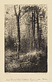 In a New England Forest, Elbridge Kingsley American, Wood engraving; trial proof