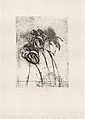Anthurium, Jim Dine American, Etching, soft-ground etching, drypoint, photogravure, electric tools, and watercolor