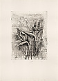 Strelitzia, Jim Dine American, Etching, soft-ground etching, drypoint, photogravure, electric tools, and watercolor