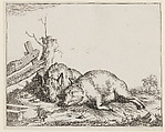 Two Sleeping Pigs, from "Various Animals", Marcus de Bye Dutch, Etching