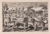 Three Dogs, plate 9 from a set of Four Legged Animals, Adriaen Collaert  Netherlandish, Engraving; first state of three (New Hollstein)