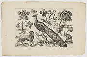 Peacock with Dog, Rabbit and Flowers, John Dunstall  British, Etching