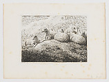 Three Sheep, Samuel Howitt  British, Engraving