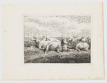 Sheep, Samuel Howitt  British, Etching