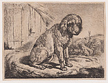 Sitting Dog, Johann Adam Klein  German, Etching