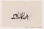 Sleeping Dog, Pieter Gerardus van Os Dutch, Etching