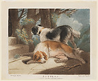 Setters, Samuel William Reynolds, the elder British, Mezzotint printed in color