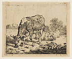 The Spotted Bull and Three Sheep, Adriaen van de Velde  Dutch, Etching
