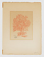 Tree, Aristide Maillol French, Woodcut printed in red ink