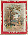 A Tree-Lined Road, from the Jigsaw Puzzle Pictures series (T76) issued by Turkish Trophies Cigarettes, Turkish Trophies Cigarettes American, Commercial color lithograph