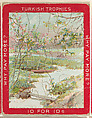 A River with a Footbridge, from the Jigsaw Puzzle Pictures series (T76) issued by Turkish Trophies Cigarettes, Turkish Trophies Cigarettes American, Commercial color lithograph