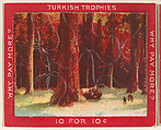 California Redwoods, from the Jigsaw Puzzle Pictures series (T76) issued by Turkish Trophies Cigarettes, Turkish Trophies Cigarettes  American, Commercial color lithograph