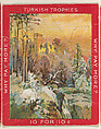 Snowy Landscape with a Town in the Distance, from the Jigsaw Puzzle Pictures series (T76) issued by Turkish Trophies Cigarettes, Turkish Trophies Cigarettes  American, Commercial color lithograph
