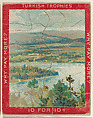 View of a Lake, from the Jigsaw Puzzle Pictures series (T76) issued by Turkish Trophies Cigarettes, Turkish Trophies Cigarettes  American, Commercial color lithograph