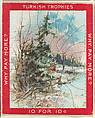 Trees in the Winter, from the Jigsaw Puzzle Pictures series (T76) issued by Turkish Trophies Cigarettes, Turkish Trophies Cigarettes  American, Commercial color lithograph