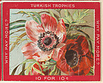Poppies, from the Jigsaw Puzzle Pictures series (T76) issued by Turkish Trophies Cigarettes, Turkish Trophies Cigarettes American, Commercial color lithograph
