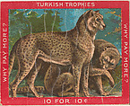 Cheetahs, from the Jigsaw Puzzle Pictures series (T76) issued by Turkish Trophies Cigarettes, Turkish Trophies Cigarettes American, Commercial color lithograph