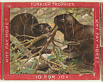 Beavers, from the Jigsaw Puzzle Pictures series (T76) issued by Turkish Trophies Cigarettes, Turkish Trophies Cigarettes American, Commercial color lithograph