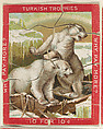 Polar Bears, from the Jigsaw Puzzle Pictures series (T76) issued by Turkish Trophies Cigarettes, Turkish Trophies Cigarettes  American, Commercial color lithograph