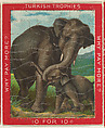 Elephants, from the Jigsaw Puzzle Pictures series (T76) issued by Turkish Trophies Cigarettes, Turkish Trophies Cigarettes American, Commercial color lithograph