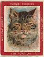 Cat with Eyes Half-Closed, from the Jigsaw Puzzle Pictures series (T76) issued by Turkish Trophies Cigarettes, Turkish Trophies Cigarettes American, Commercial color lithograph