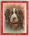 Dog, from the Jigsaw Puzzle Pictures series (T76) issued by Turkish Trophies Cigarettes, Turkish Trophies Cigarettes American, Commercial color lithograph